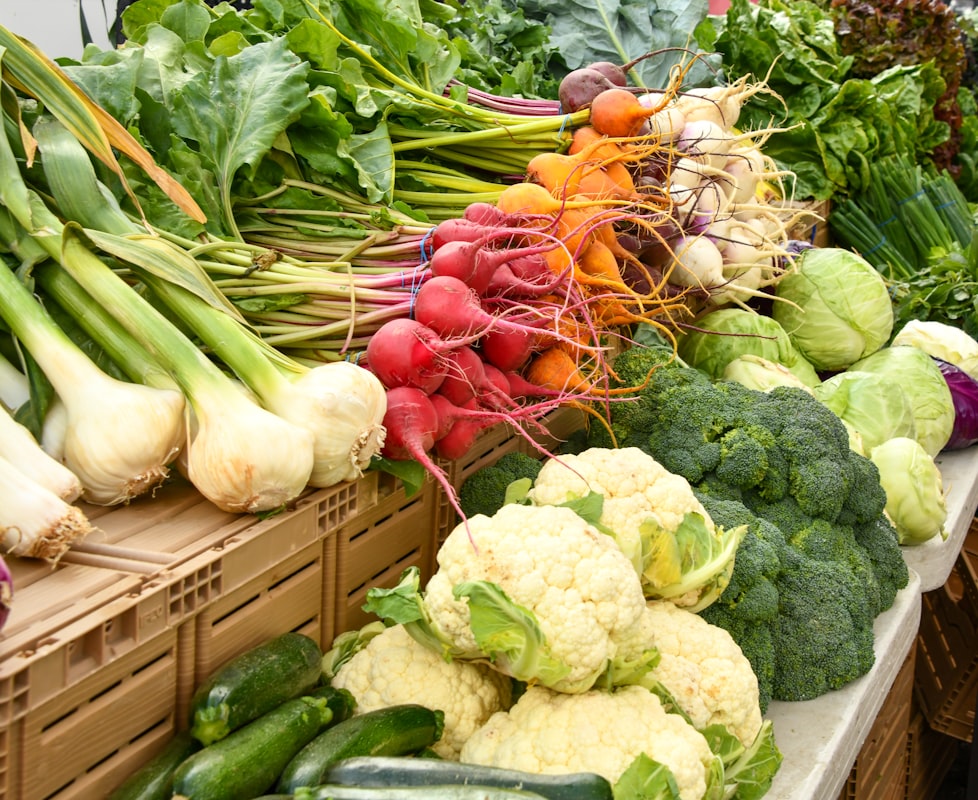 Moderne Ernährung und Lebensstil